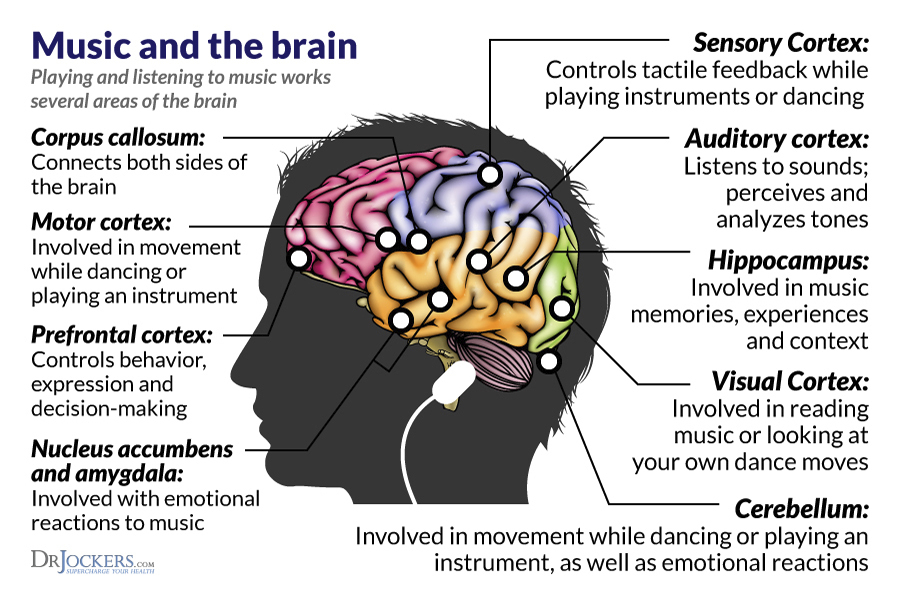 The Singing Brain