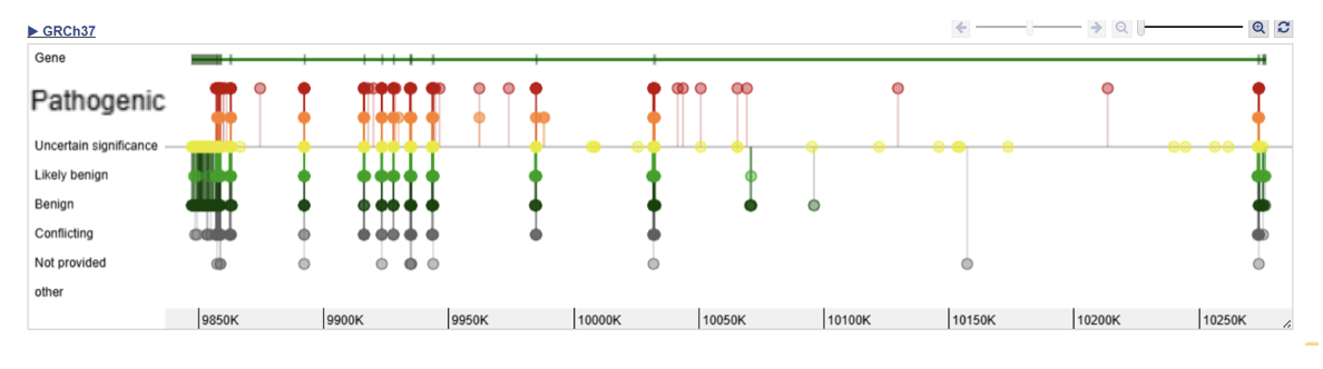The First Single Gene Directly Causing Mental Illness: Scientists Identify First-Ever Single Gene That Can Directly Cause Mental Illness 2 SOM Research 3