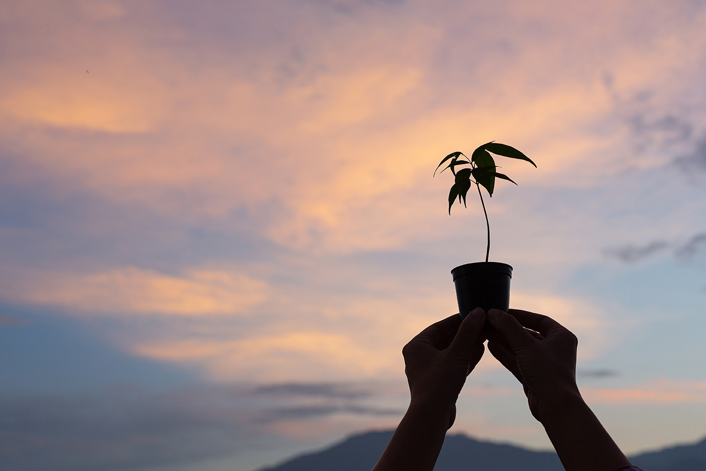 Salt & Light: Growing in Godliness 