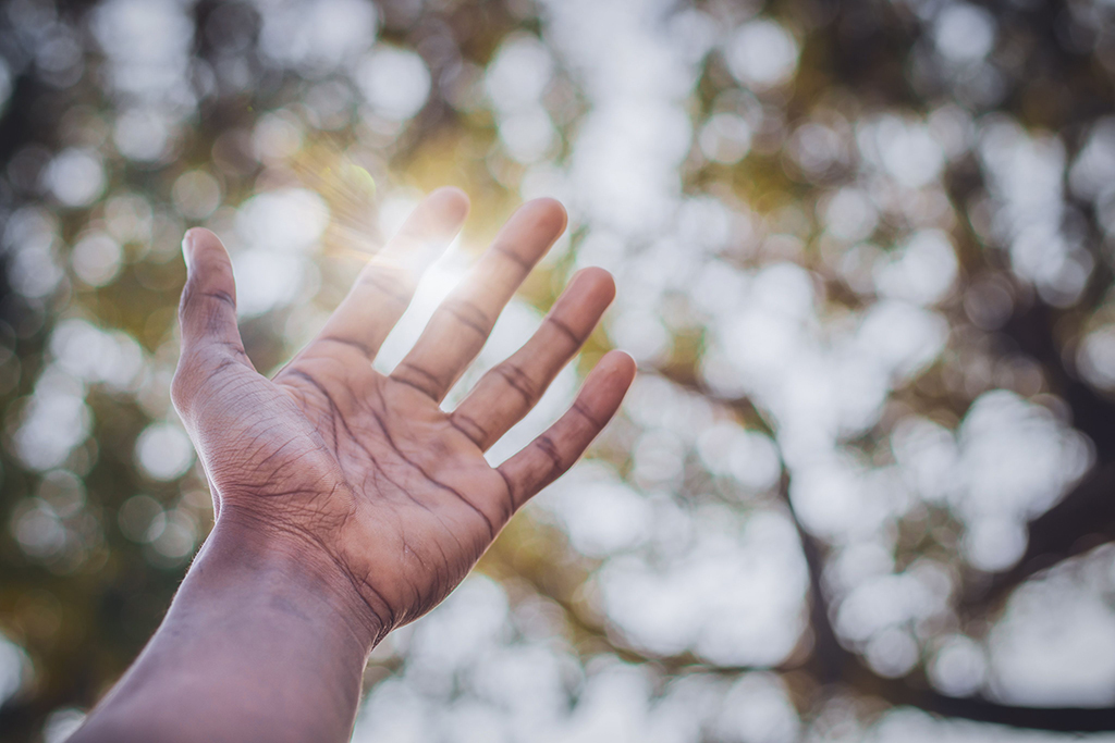 Salt and Light: Growing into Spiritual Capability 4 Salt and Light: Growing into Spiritual Capability